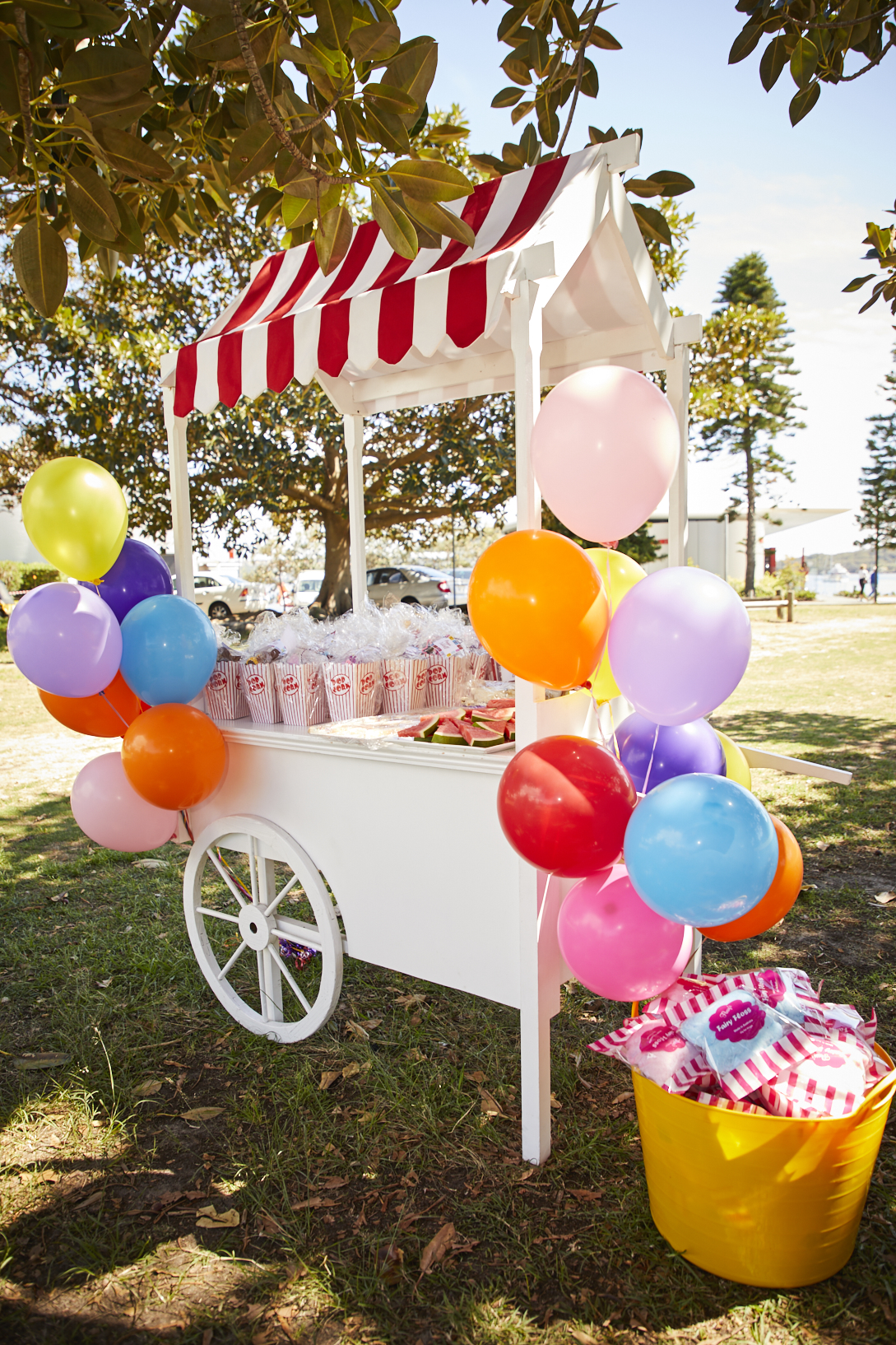 Gabe's Carnival Party